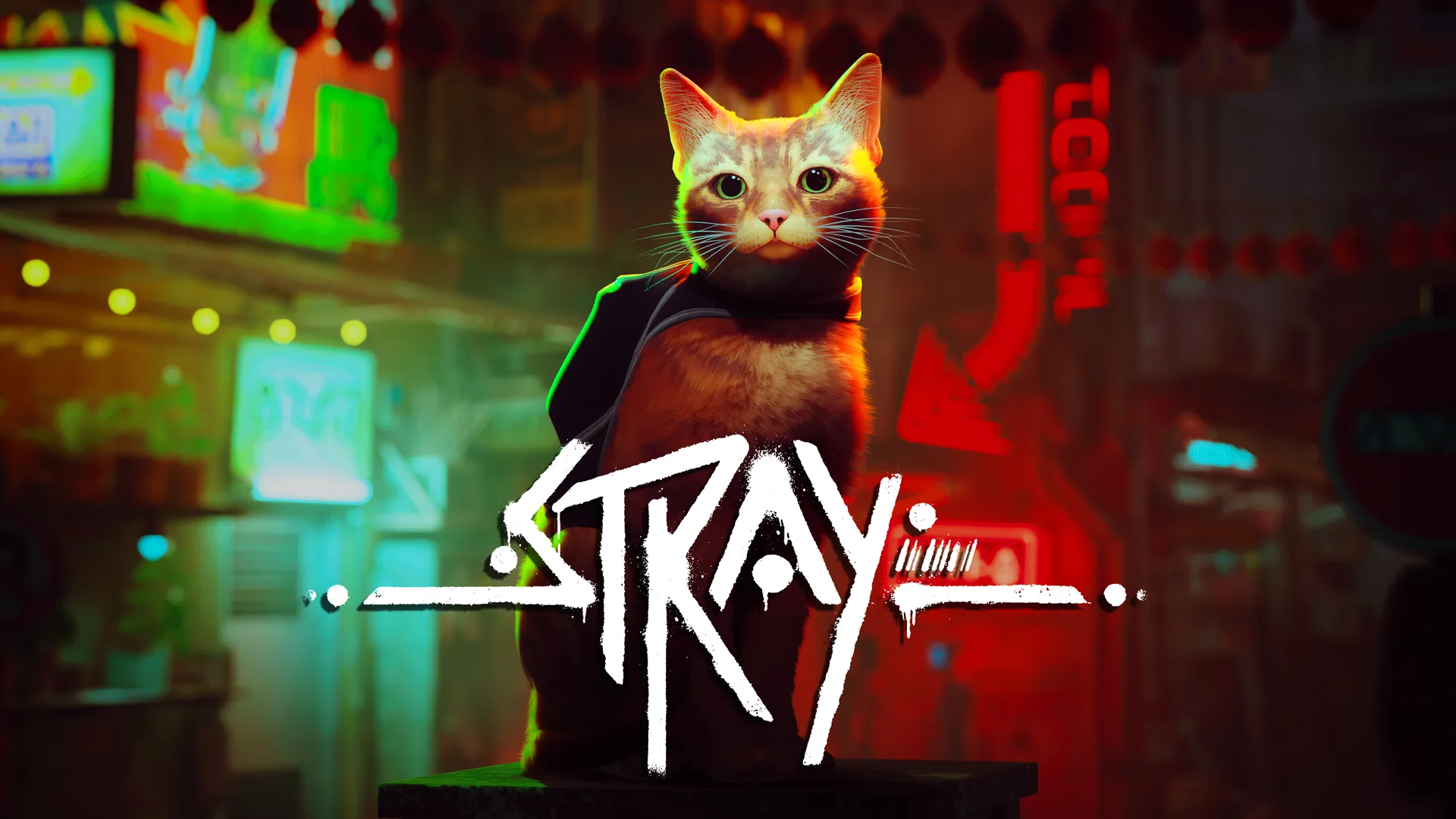 Stray PC Game Free Download (v1.5.368)